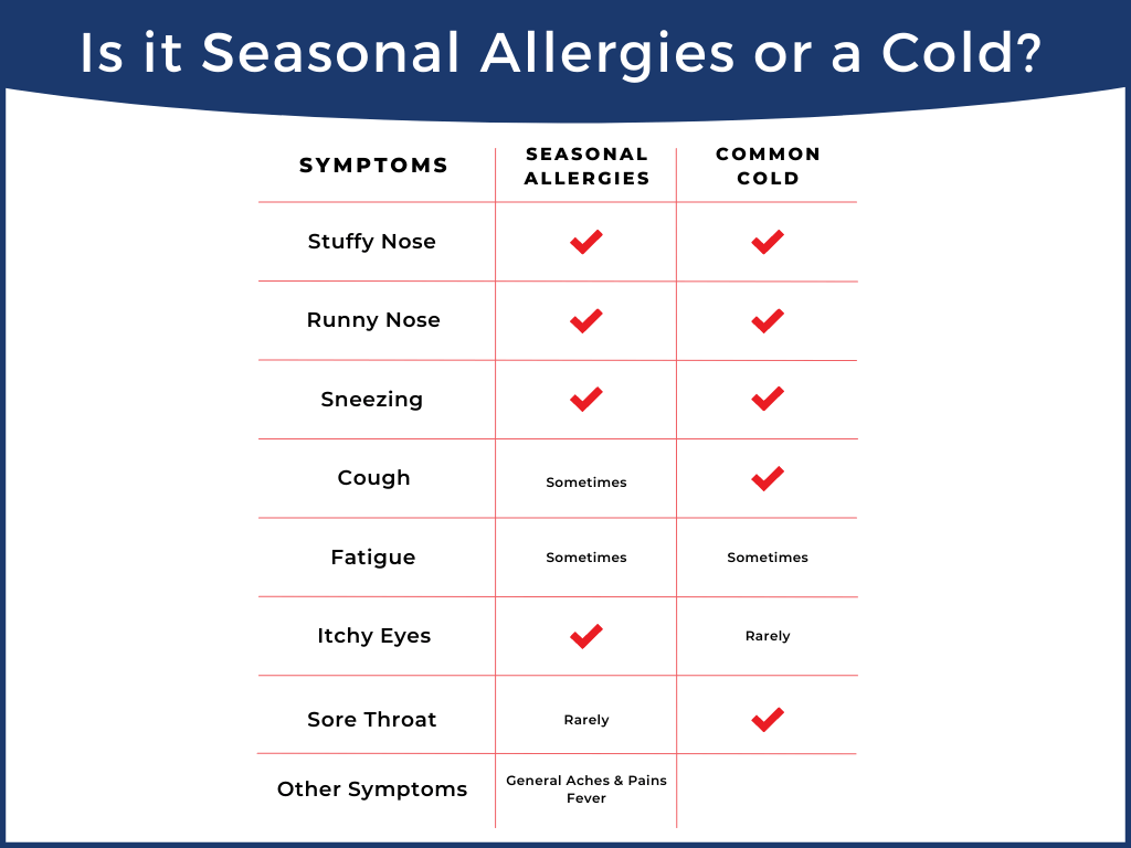 seasonal allergies or common cold